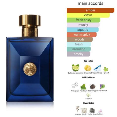 dylan blue versace notes